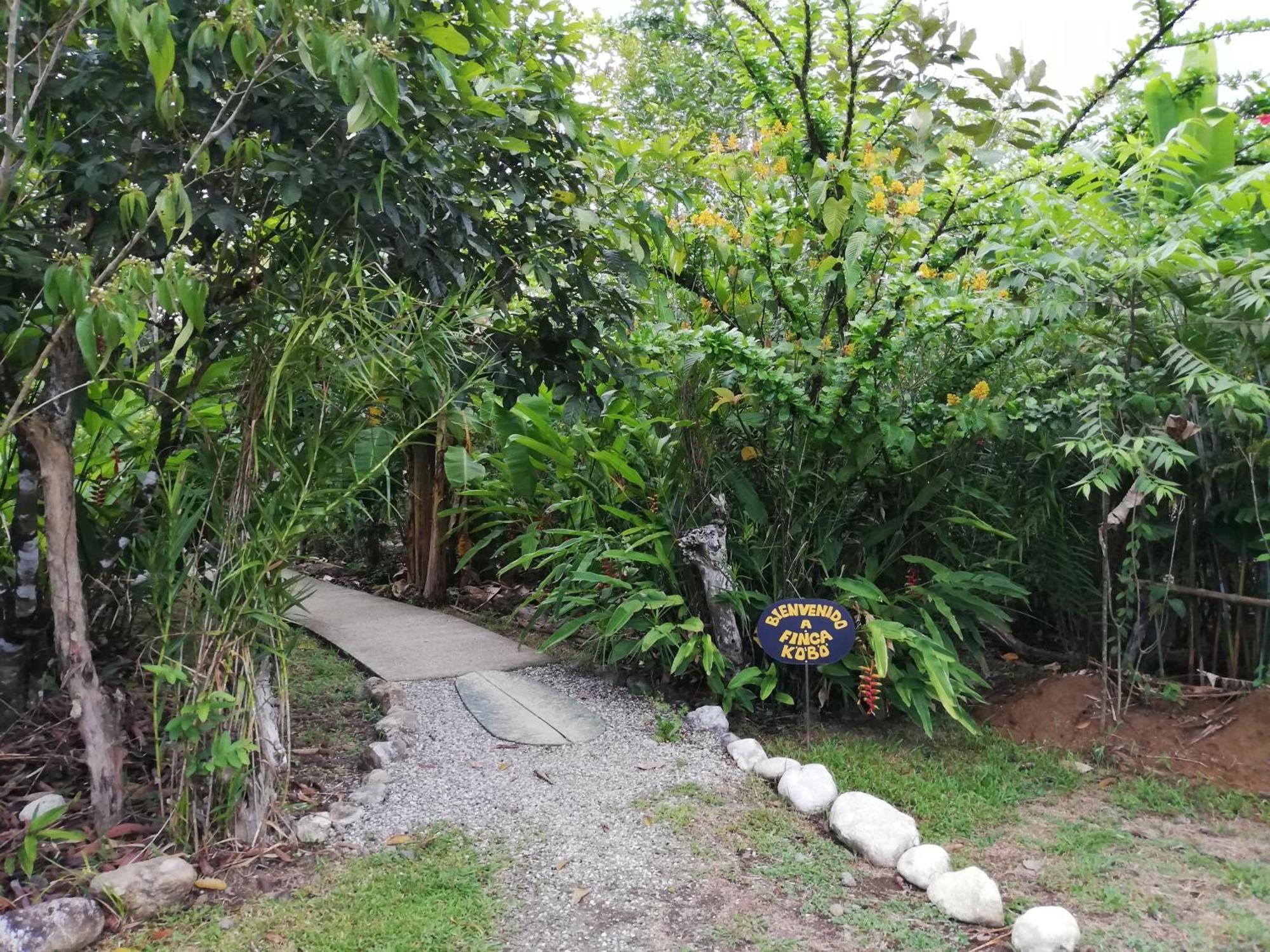 Finca Kobo Palo Seco Exterior photo